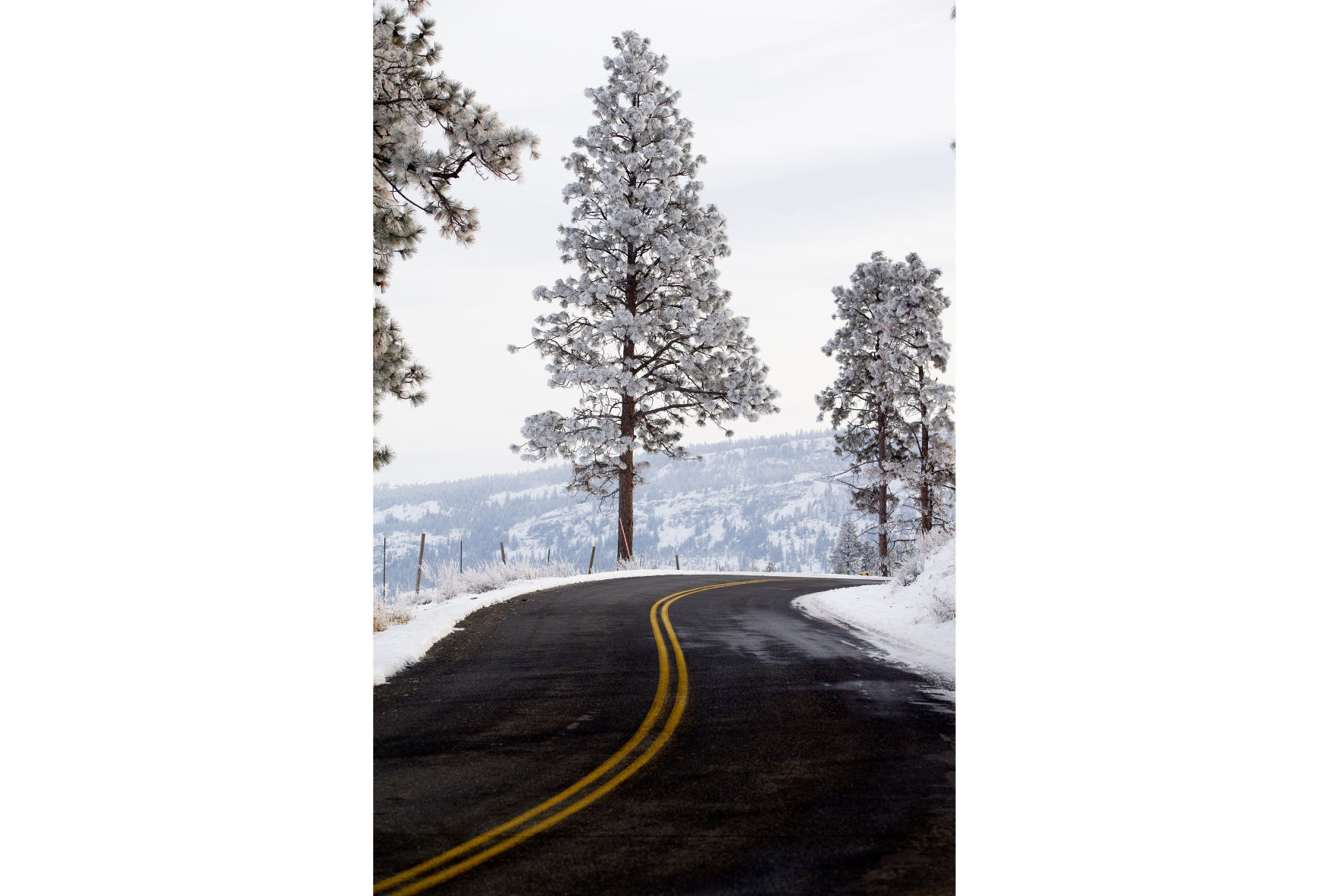 191219-newslocal-frost 02canvas.jpg